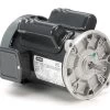 117889.00 Leeson 3/4 Hp 1800 RPM 115/208-230V TEFC 56YZ Frame Auger Motor -Electronic Store 117889 69825.1670250836